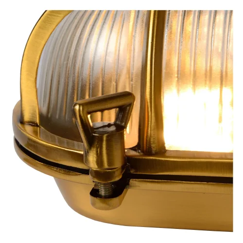 Настенный светильник Dudley 11891/20/02 Lucide уличный IP65 латунь матовый золото 1 лампа, плафон прозрачный в стиле современный винтаж E27 фото 4